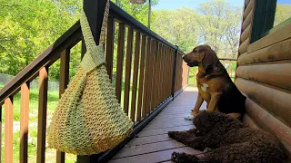 Crochet Japanese Knot Bag / Easy Crochet Japanese Knot Beach Bag Style Tutorial