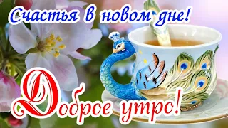 И снова Доброе Утро! 🌸 Прекрасного нового дня! 🤗🌷 Красивые пожелания 🪷