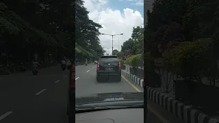 kandang persik kediri || stadion brawijaya kediri #shortvideo #persikkediri