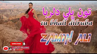 tu bhali dilruba naza kar zamin ali  sweet song aashique ali mallah