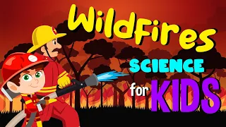 Wildfires | Science for Kids