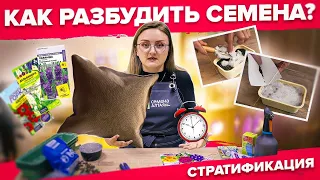 ТРИ СПОСОБА СТРАТИФИКАЦИИ СЕМЯН!