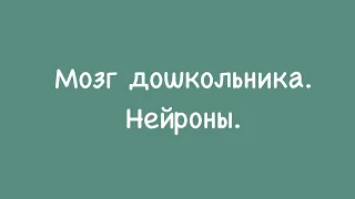 Нейроны. Чем их загружать ребёнка в дошкольном возрасте