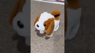 Cute Realistic Plush Puppy Dog