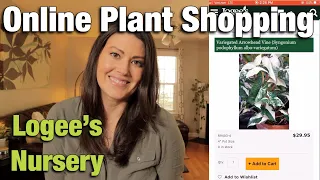 Quarantine Plant Shopping - Logee's Online Plant Shopping - Come Plant Shop With Me