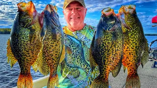 Pre Spawn Crappie Trip- flash report