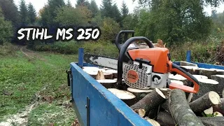 STIHL - MS 250 заготівля дров