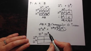 ABO Blood Type Inheritance Pattern