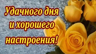 Удачного дня! Хорошего настроения!