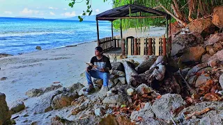 Solo camping on the seashore builds a simple hut, catches and cooks fish from the sea