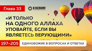 Глава 33: О Словах Аллаха: «И только на Одного Аллаха уповайте, если вы являетесь верующими».