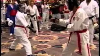 2003 Bluegrass Nationals Karate Tournament Fighting Eliminations Highlights