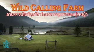 ลานกางเต็นท์ปากช่องที่บอกเลยว่าสุดยอด | WildCallingFarmPark | พาลูกเที่ยว | Camping in Thailand