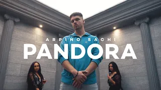ARPINO SACHI - Pandora