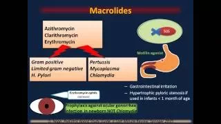 Antibiotics "Pediatric Infectious Diseases I"