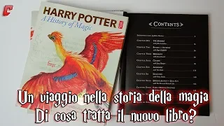 "Harry Potter. Un viaggio nella storia della magia" - Di cosa tratta il nuovo libro?