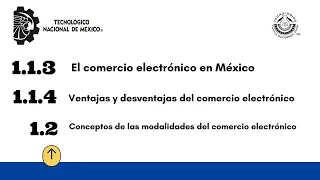 IGEM Tema 1 Comercio Electrónico