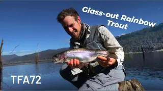 Rainbow Trout in Glass Out Conditions | Lake Rowallan | TFA #72