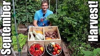 September Vegetable Garden Harvest (2018): Local Food At Its Best!