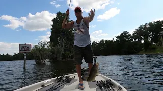 fishing on the hillsborough river