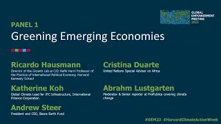 GEM23 Panel 1: Greening Emerging Economies