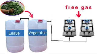 how to make free gas from leaves | How To Make Free Gas from Fruit And Vegetables waste #Freegas