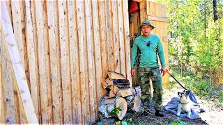 НАПАДЕНИЕ ВОЛКОВ! ПУРГИ БОЛЬШЕ НЕТ. | ПРОЩАЙ ПУРГА Я ТЕБЯ ОЧЕНЬ ЛЮБИЛ. |