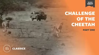 Challenge of the Cheetah Part 1 | Mutual of Omaha's Wild Kingdom