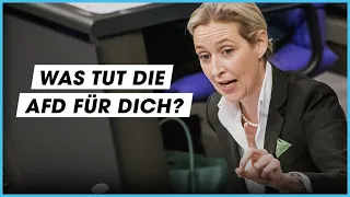 AfD-Wahlprogramm: Das will sie für Menschen unter 30