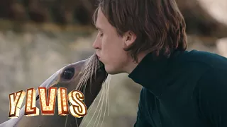 Ylvis - Language of Love [Official music video HD]