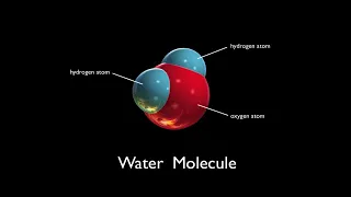 Water Molecules | Arbor Scientific