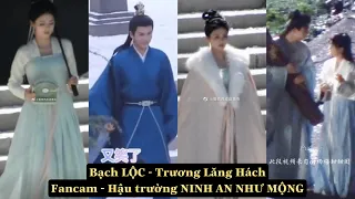 【Bạch Lộc-Trương Lăng Hách 】Fancam - Hình ảnh trong hậu trường NINH AN NHƯ MỘNG