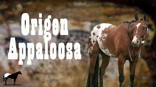 El Caballo Moteado "Appaloosa" (Historia y Origen) 🐴-Del Cerro Soy