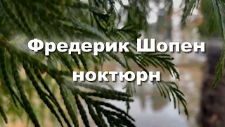 Фредерик Шопен.  Ноктюрн № 2 музыка для души