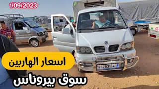 اسعار الهاربين اليوم من سوق بيروناس ام البواقي dfm dfsk gonow jac hafia