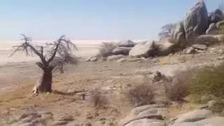 Kubu Island, Makgadikgadi Pan, Botswana