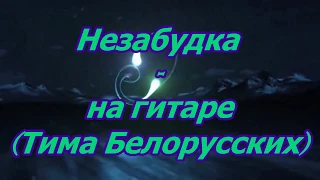 Тима Белорусских - Незабудка на гитаре, аккорды