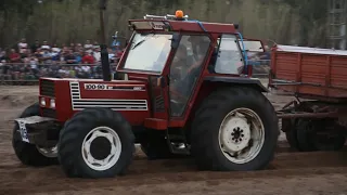 FIAT 100/90 Tractor Pulling Arborea