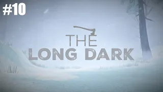 БЕДА НА ПЕРЕПУТЬЕ - The Long Dark - Episode 3 #10