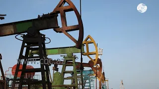 Нефтяные цены растут на фоне снижения опасений по поводу пандемии