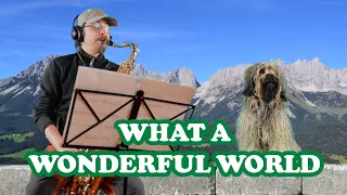 What A Wonderful World - Louis Armstrong - Tenor Sax Beginner Cover