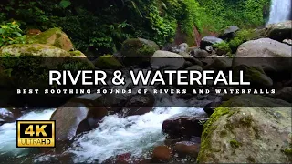 🔴 The Best Soothing Sounds of Rivers and Waterfalls | Nature Sounds, Meditation, ASMR