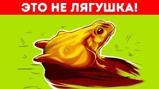 11 Оптических Иллюзий, Которые Раскроют Ваш Психотип