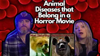 Animal Diseases that Belong in a Horror Movie @mndiaye_97 | HatGuy & @gnarlynikki React