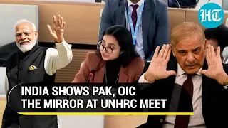 'Put Your Own House In Order,' India sternly tells Pak for Kashmir remarks, rips OIC | Watch