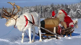 Video-Nachricht vom Weihnachtsmann für Kinder: Video-Gruß aus dem Weihnachtsmanndorf Lappland