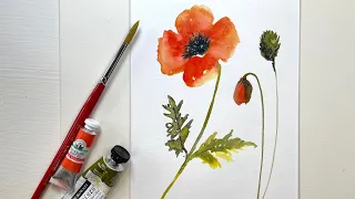 How To Paint a Poppy in Watercolor - Easy Way to Master Poppies, Buds  & Leaves in Loose Watercolor