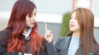 【FMV】 ❮Twice❯ Mina x Chaeyoung Moments