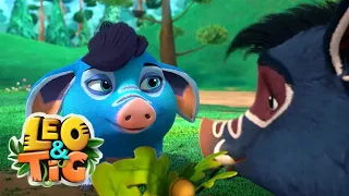 Leo and Tig 🦁 Cuba in Love 🐯 Funny Family Good Animated Cartoon for Kids