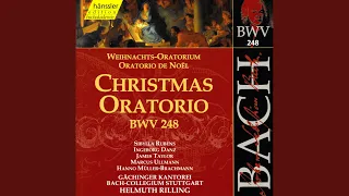 Christmas Oratorio, BWV 248, Pt. 1: Recitative: Ja, ja, mein Herz soll es bewahren (Alto)